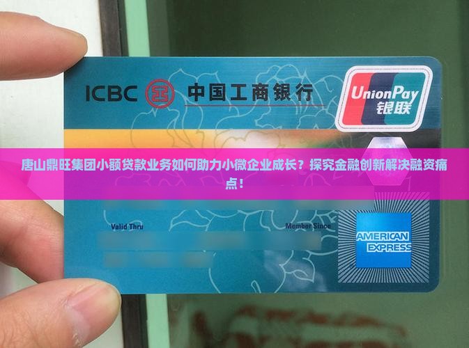 唐山鼎旺集团小额贷款