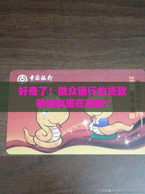 微众银行贷款明细从哪查