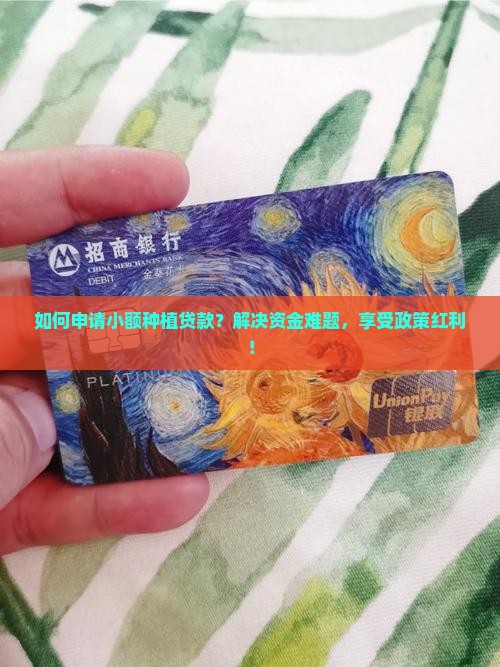 小额种植贷款怎么贷