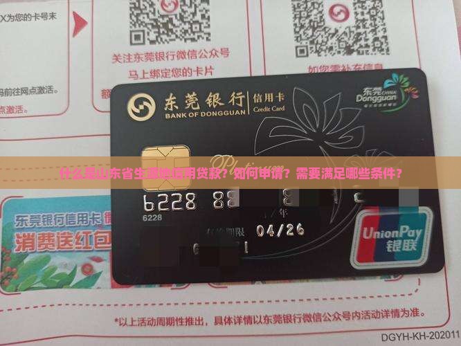 山东省生源地信用贷款