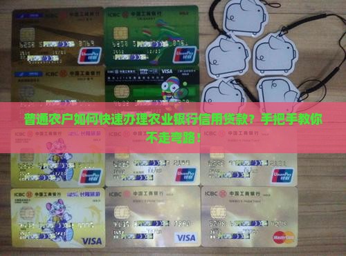 农业银行信用贷款怎么办