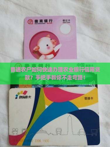 农业银行信用贷款怎么办