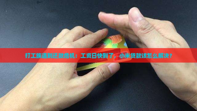 小米贷款还不了了咋办呀 小米贷款还不了了咋办呀