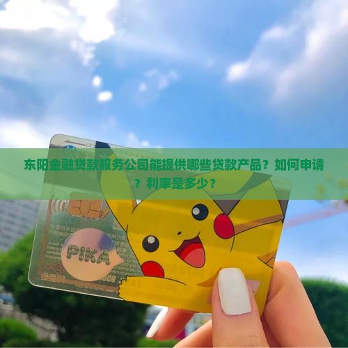 东阳金融贷款服务公司