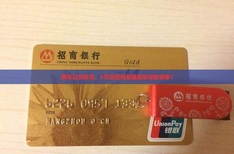 5万贷款以贷养贷2年