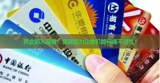 医药公司贷款还不上