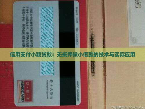 信用支付小额贷款