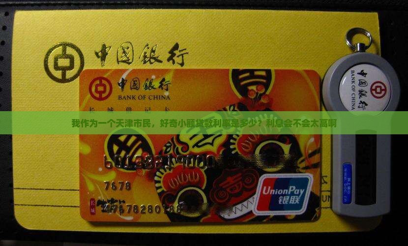 天津市小额贷款利率