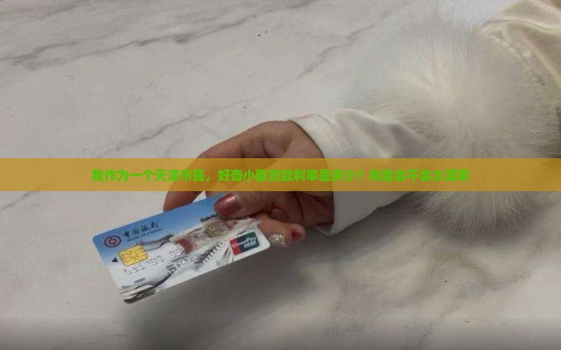 天津市小额贷款利率