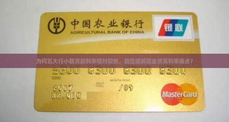 五大行的小额贷款
