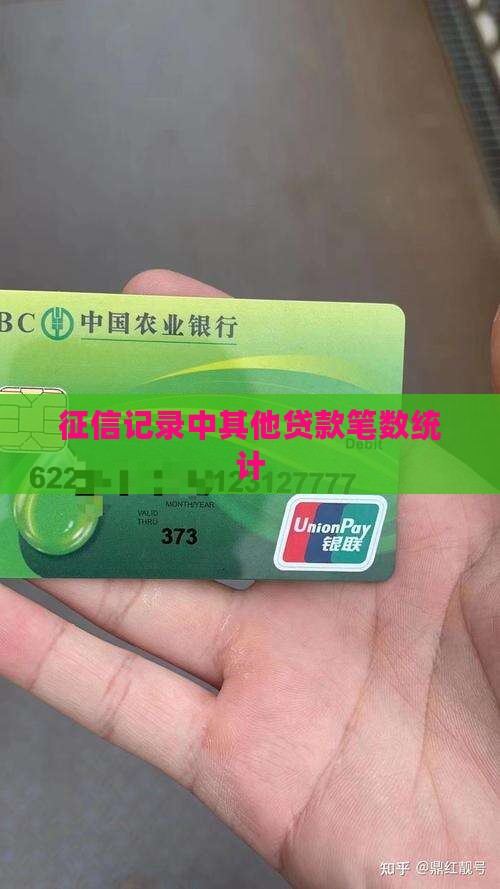 个人征信的其他贷款笔数