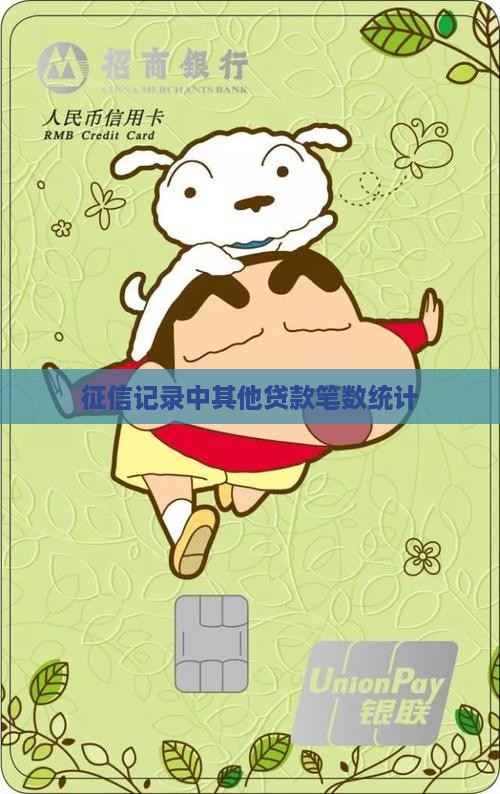 个人征信的其他贷款笔数