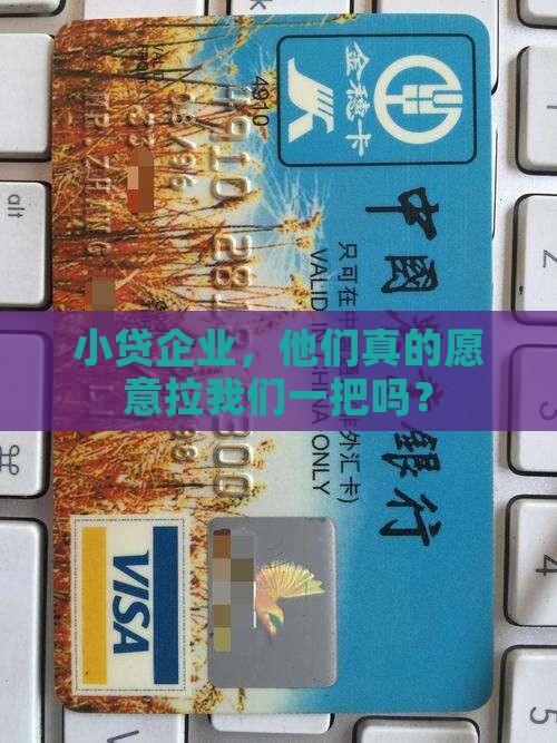小贷企业支持贷款嘛