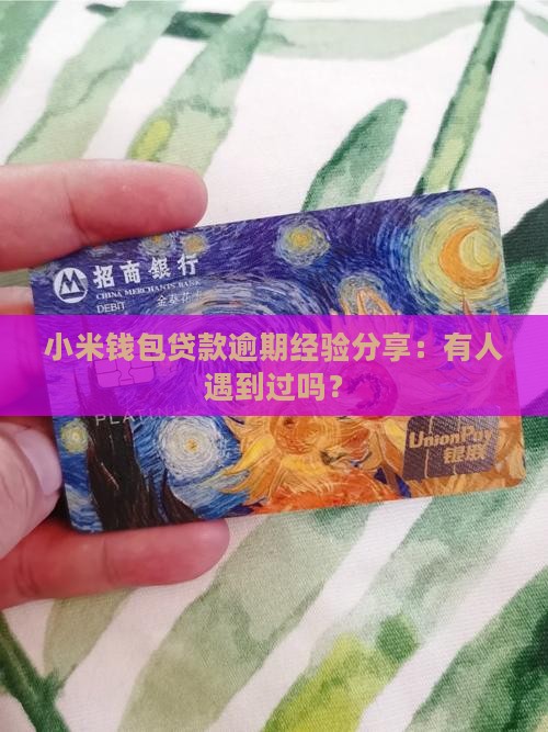 小米钱包贷款有人用过吗