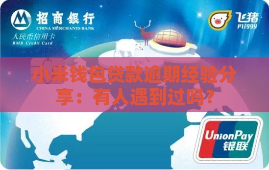 小米钱包贷款有人用过吗