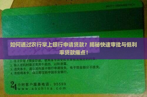 农行掌上银行贷款信息