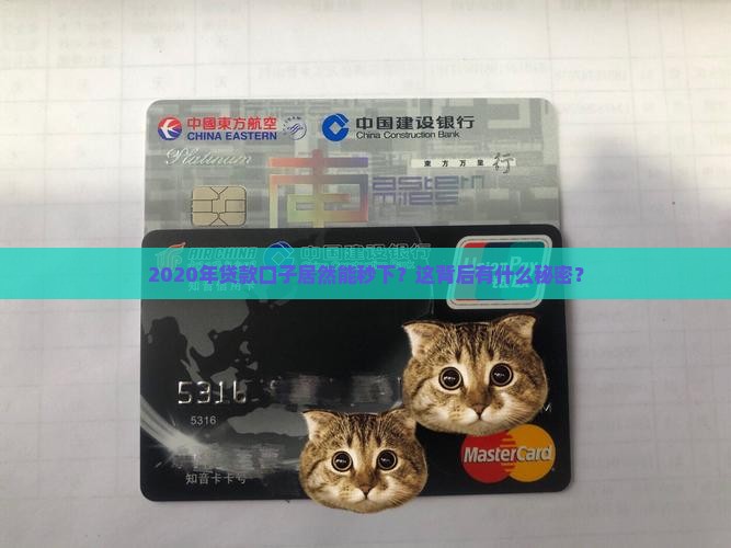贷款口子秒下的2020