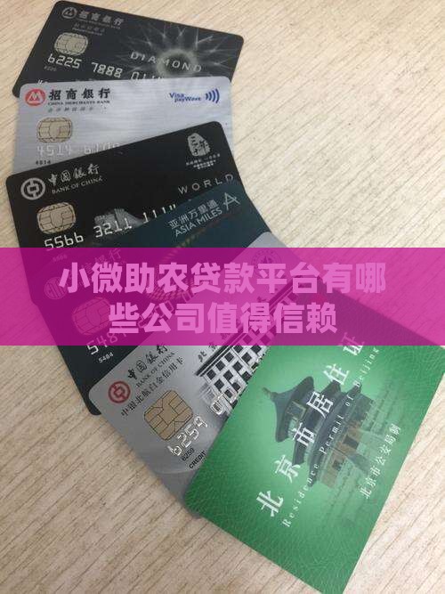 小微助农贷款平台有哪些