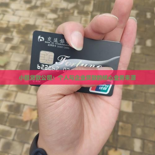 小额贷款的业务来源