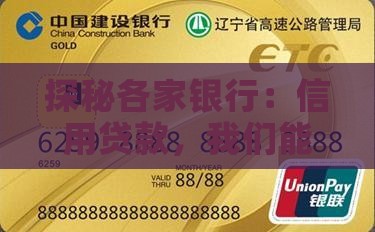 多个银行信用贷款总额