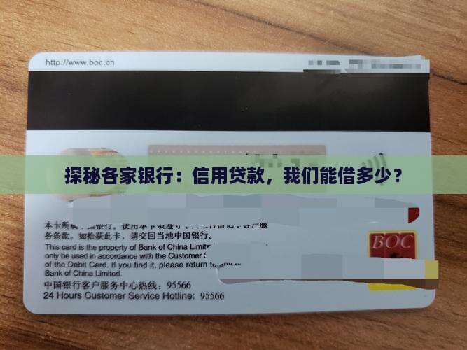 多个银行信用贷款总额