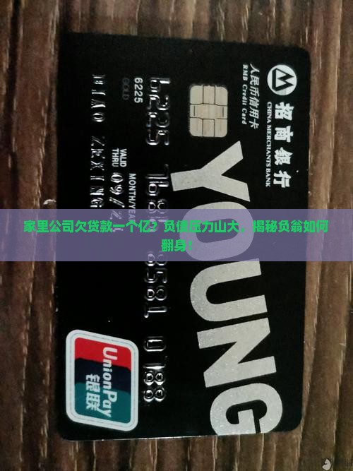 家里公司欠贷款一个亿