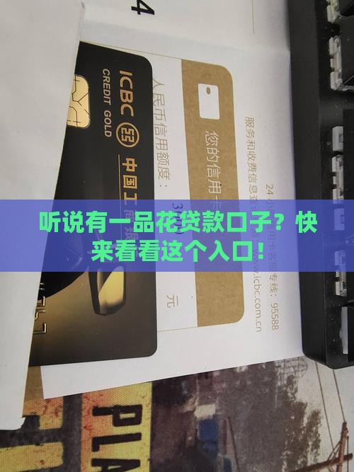 一品花贷款口子入口