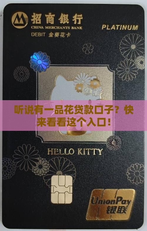 一品花贷款口子入口