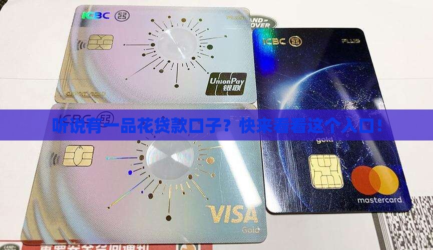 一品花贷款口子入口