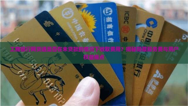 工行网贷通不贷款收费吗