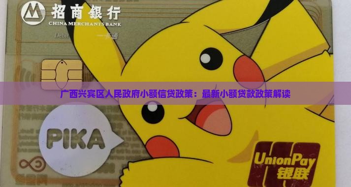 兴宾区小额贷款政策最新