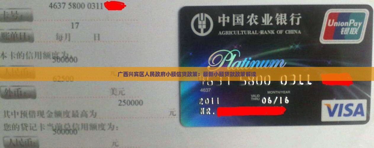 兴宾区小额贷款政策最新