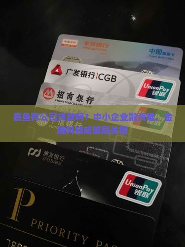嘉鱼有公司贷款吗