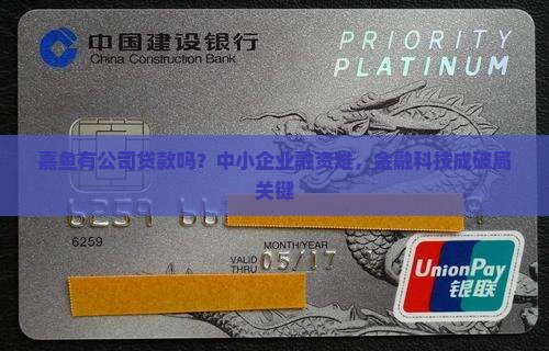 嘉鱼有公司贷款吗