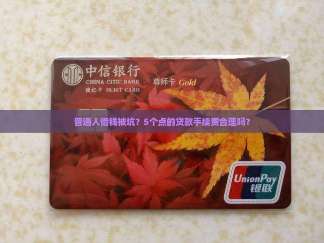信用贷款手续费5个点