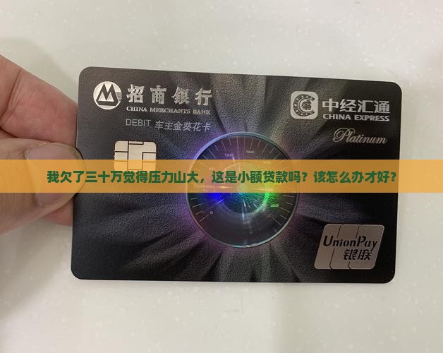 三十万属于小额贷款吗