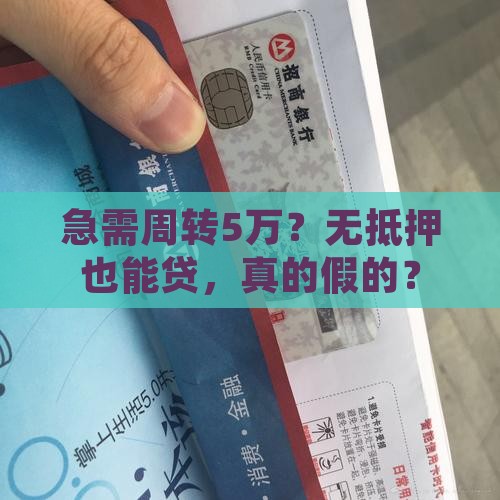 小额贷款无抵押担保5万
