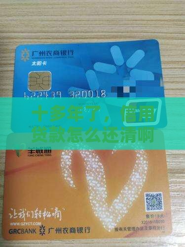 信用贷款十多年还不了了