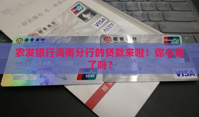 农发银行海南分行贷款