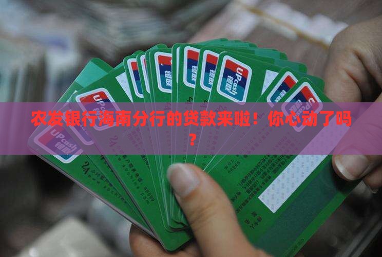 农发银行海南分行贷款