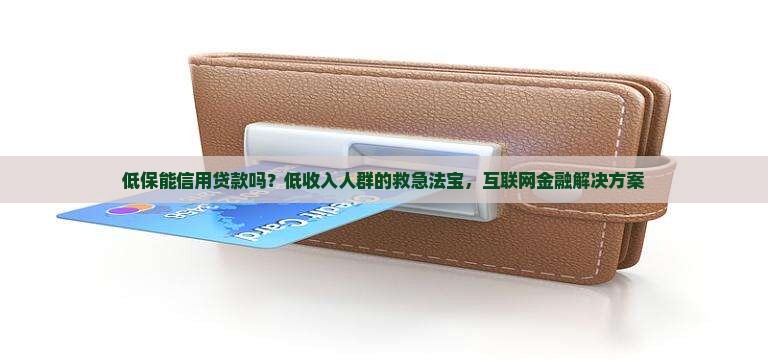 低保能信用贷款吗