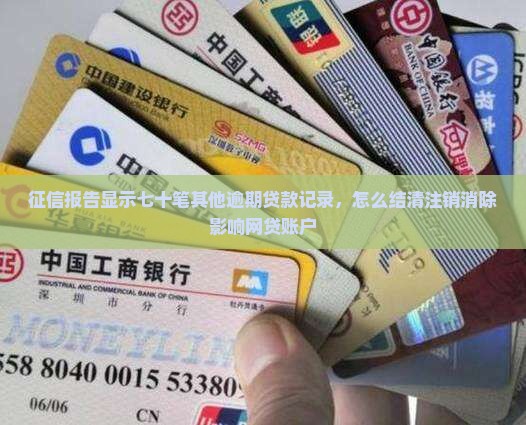 征信有七十笔其他贷款
