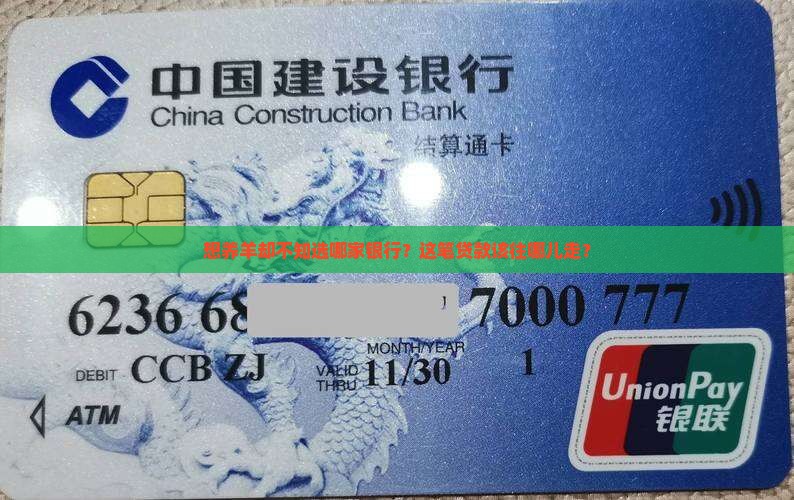 养羊贷款去哪个银行