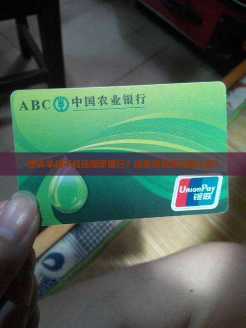 养羊贷款去哪个银行