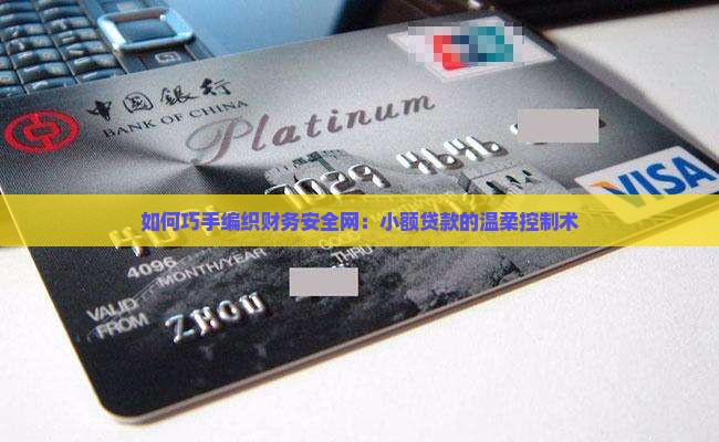 小额贷款控制方案