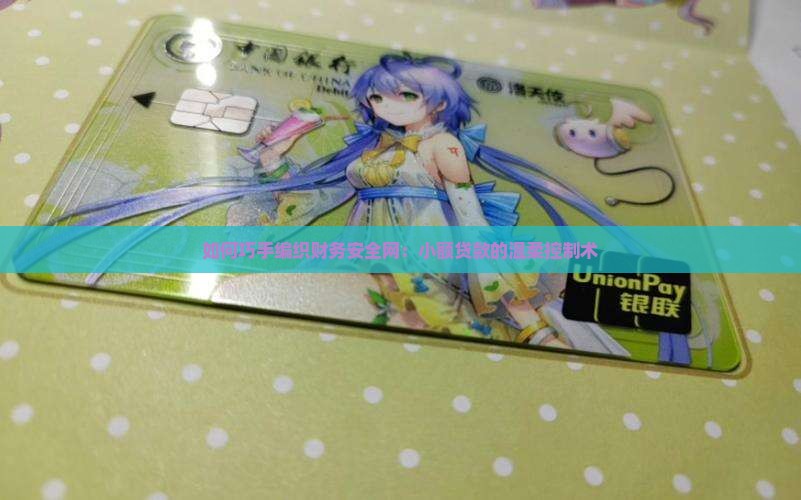 小额贷款控制方案