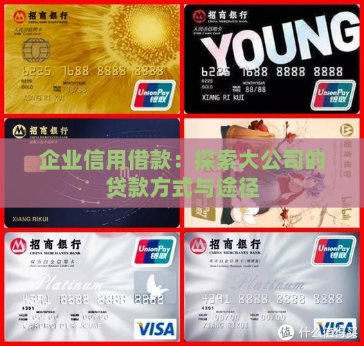 大公司的信用贷款