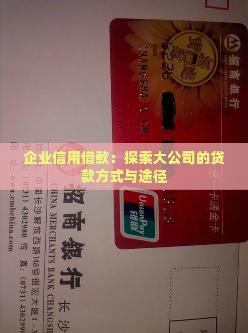大公司的信用贷款