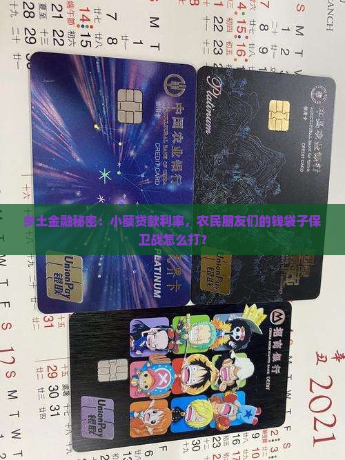 农村金融与小额贷款利率