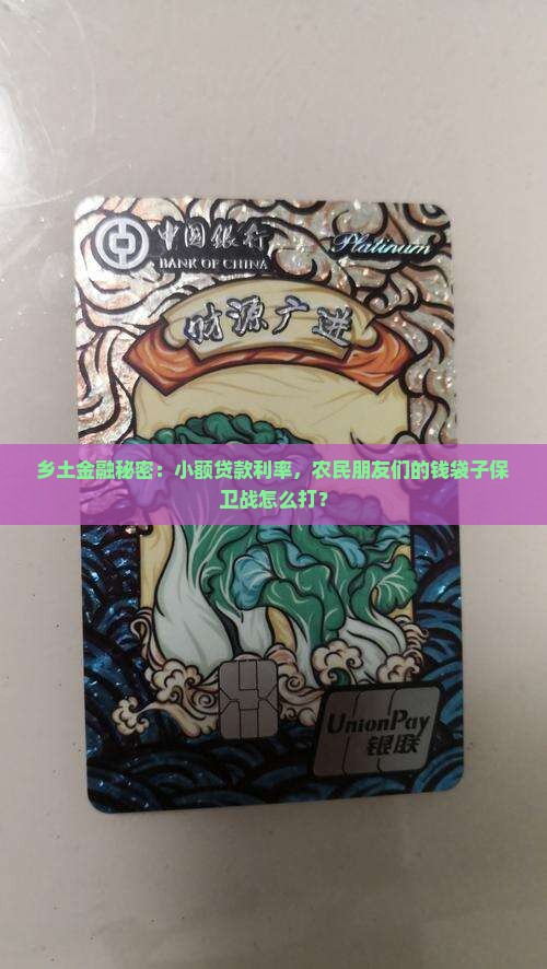 农村金融与小额贷款利率